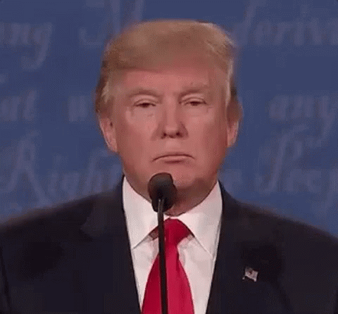 donald-trump-nod.gif