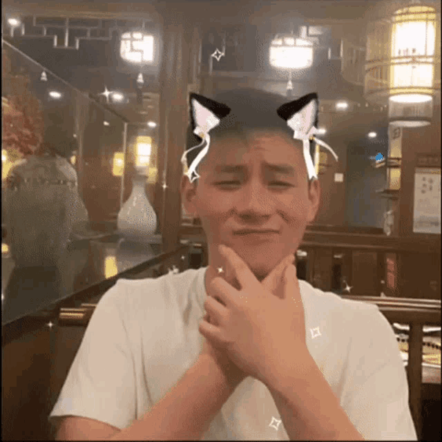 Sean Sean Cat GIF Sean Sean Cat Sean Spin Discover & Share GIFs