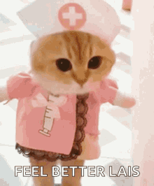 Cute Cat GIF - Cute Cat Doctor GIFs