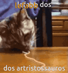 Lefabb Artristossauros GIF - Lefabb Artristossauros Cat GIFs