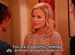 Leslie Knope Compliment GIF - Leslie Knope Compliment Parksand Recreation GIFs