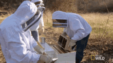 Bees Insect GIF - Bees Insect Shake It Out GIFs