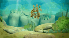 piranha fish swim swimming ocean