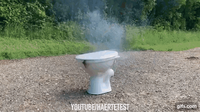 Poop Toilet GIF.