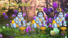 Jaish Krishna Flower GIF - Jaish Krishna Flower Changing Colors GIFs