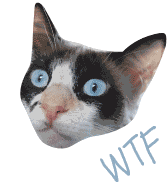 Blair Cat Sticker - Blair Cat Wtf Stickers