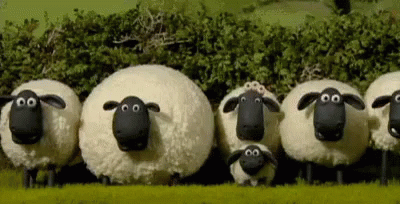 shaun-the-sheep-stop-motion.gif