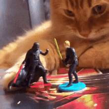 Cat Darth Vader GIF - Cat Darth Vader Luke Skywalker GIFs