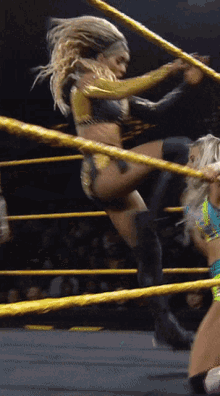 taynara hpw taynara whf