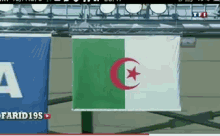 Algeria GIF - Algeria GIFs
