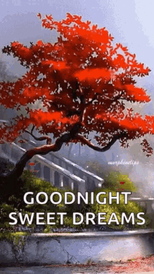 Good Night Sweet Dreams GIF - Good Night Sweet Dreams Fall GIFs
