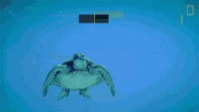 Swimming Turtle Nat Geo Wild GIF - Swimming Turtle Nat Geo Wild Underwater GIFs