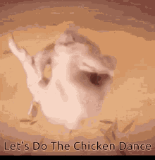 Lets Do The Chicken Dance Raw Chicken GIF - Lets Do The Chicken Dance Chicken Raw Chicken GIFs