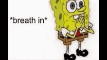 spongebob roast boy spongebob roast boy
