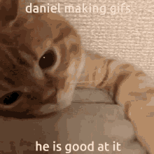 Daniel Gif GIF - Daniel Gif GIFs