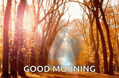 colors of autumn 94 gifs