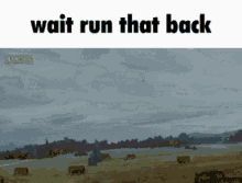 run back