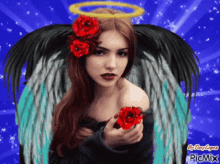 angel roxanne