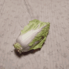 Cabbage Lettuce GIF - Cabbage Lettuce Pointing GIFs