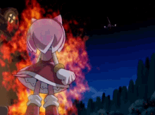 Amy Rose Mad Amy Rose Fire GIF - Amy Rose Mad Amy Rose Fire Amy Rose Burning Anger GIFs
