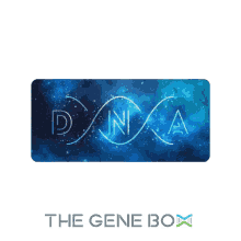 gene dna