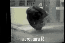 La Creatura La Creatura18 GIF - La Creatura La Creatura18 GIFs
