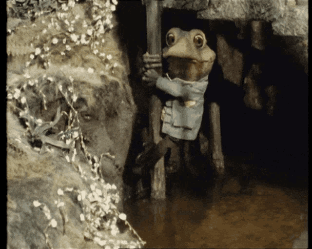 wind-in-the-willows-toad.gif
