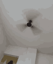 Ceiling Fan Spin GIF - Ceiling Fan Spin Windy GIFs