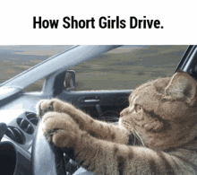How Short Girls Drive Driving GIF - How Short Girls Drive Short Girls Drive GIFs