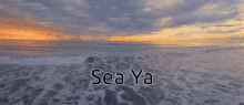 Sea See Ya GIF - Sea See Ya Sea Ya GIFs