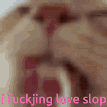 drinking discord