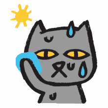 gaiathegraycat cat hot so hot its hot gaiathegraycat cat hot so hot its hot