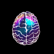 Brain GIF - Brain Mind GIFs