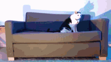 Bmm Cat GIF - Bmm Cat Rave GIFs