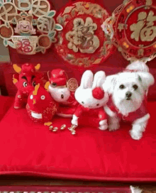 puppy dog red happy celebrate