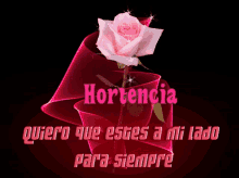 hortencia hortencia name rose romantic by my side