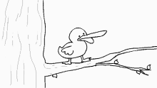 Bird Caw GIF - Bird Caw GIFs