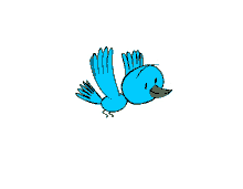 bird blue wings flying