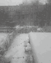 white blizzard