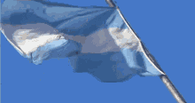 Bandera De La Argentina Flameando Nación Argentina GIF - Bandera De La Argentina Flameando Nación Argentina GIFs