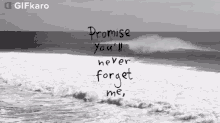 Promise Youll Never Forget Me Gifkaro GIF - Promise Youll Never Forget Me Gifkaro Im Sure Youll Always Remember Me GIFs