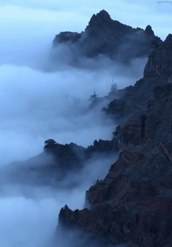 fog-mountain.gif