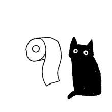kstr kochstrasse cat kitten toilet