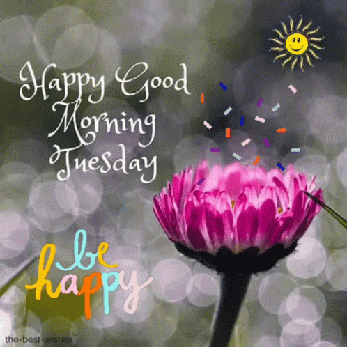 Tuesday Happy Tuesday GIF - Tuesday Happy Tuesday Good Morning - Discover &  Share GIFs