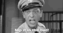 Nipit Nip It In The Bud GIF - Nipit Nip It In The Bud GIFs