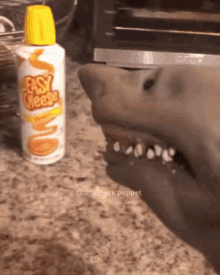 Shark Puppet Cheese GIF - Shark Puppet Cheese Sharks GIFs