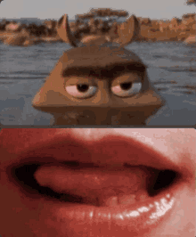 Horny Hippo Licking Lips GIF - Horny Hippo Licking Lips Eyebrow Wiggle GIFs