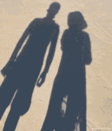 Shadow Couple GIF - Shadow Couple Silly GIFs