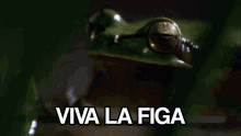 Viva La Figa W La Figa GIF - Viva La Figa W La Figa Acp GIFs
