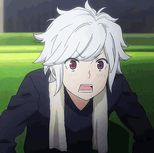 Dan Machi GIF Dan Machi Discover & Share GIFs